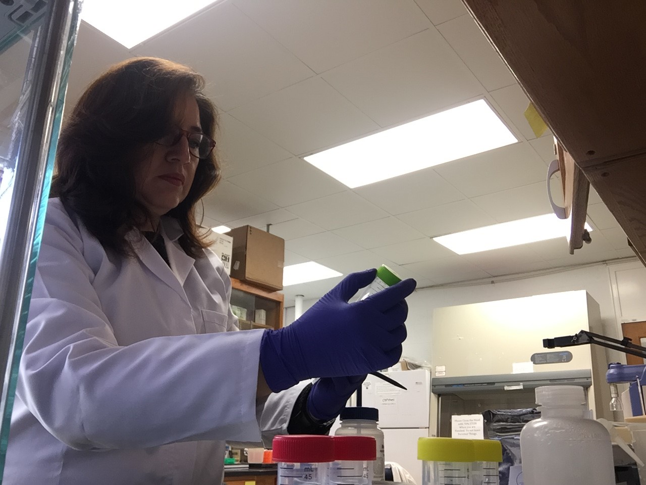 Maria working in the lab